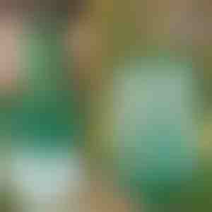 Atkārtoti lietojams piekarināms mušu slazds dārzam, terasei un balkonam | INSECTA