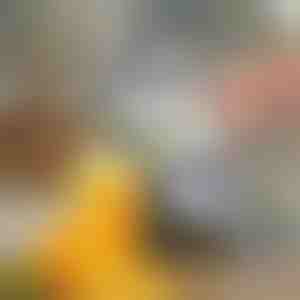 Manuālā augļu sulu spiede | JUVOPRESS