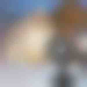 Sniegpārslu LED projektors | SNOWLAMP