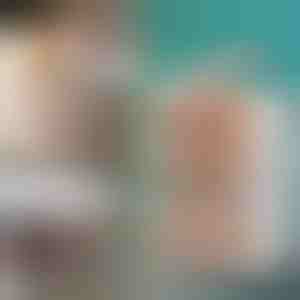 Uzglabāšanas kaste ar vāku | ORGABOX