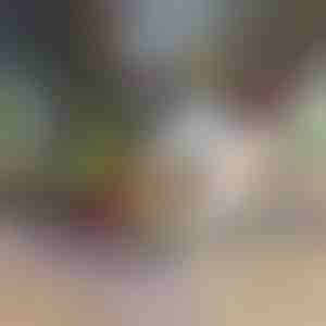 12 vienā dārzeņu griezējs un smalcinātājs (iekļauti 7 asmeņi) | CHOPMASTER