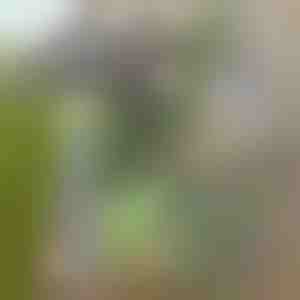 Dārza kaplis vieglai nezāļu izraušanai | GRASSOE